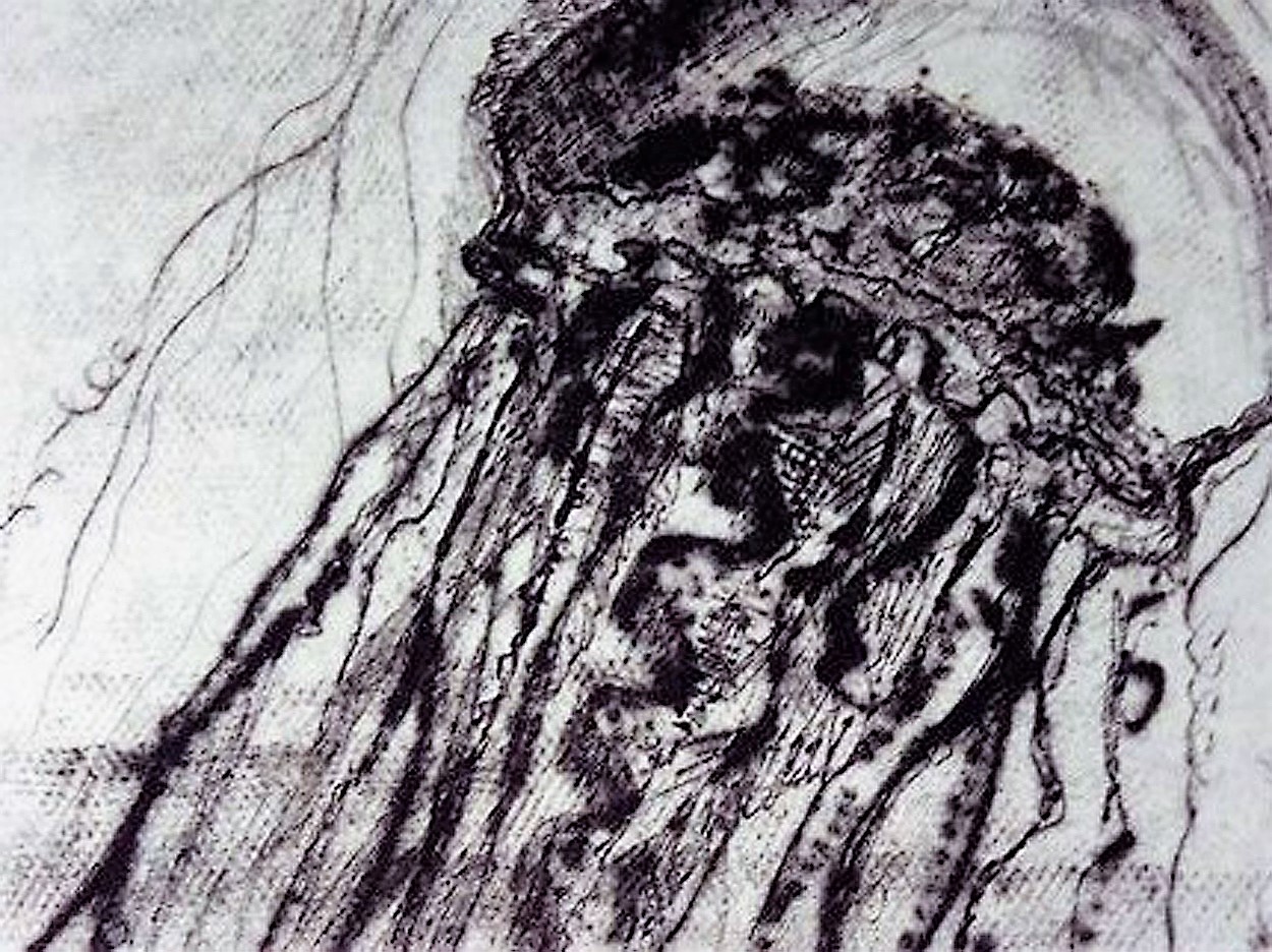 Medusa Kim Okura Radierung Kim Okura Bildauschnitt schwarz weiss
