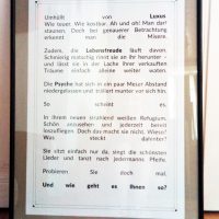 Text Ausstellung Kim Okura