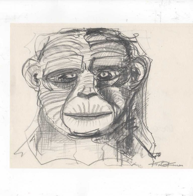 Pencil drawing, graphit "Ape Studie" Kim Okura 2020