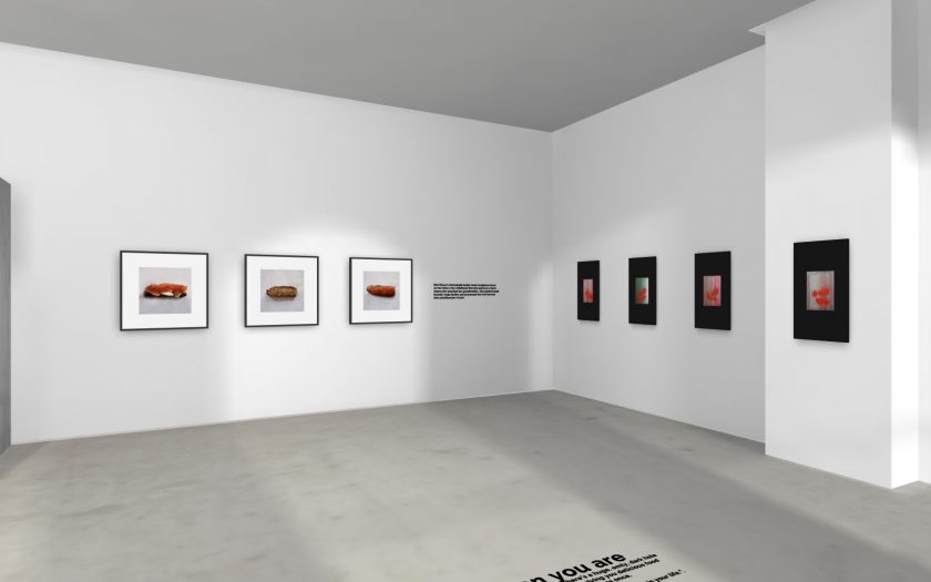 KIM OKURA gallery exhibition view